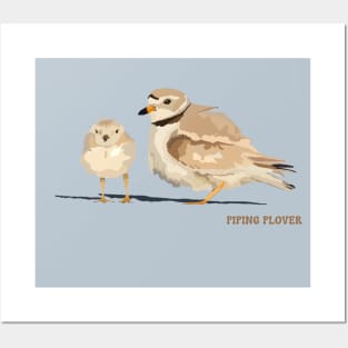 Piping Plover Posters and Art